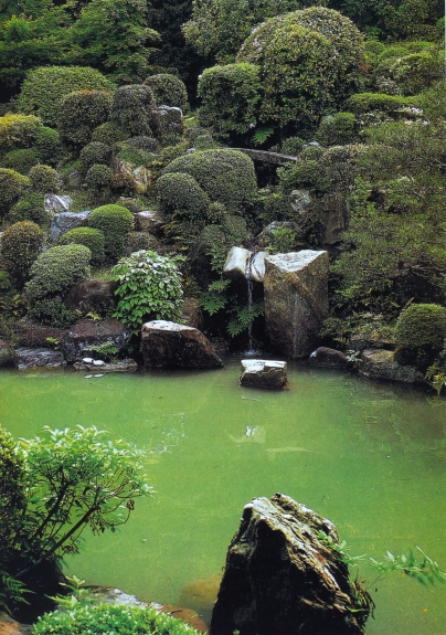 jap garden 189