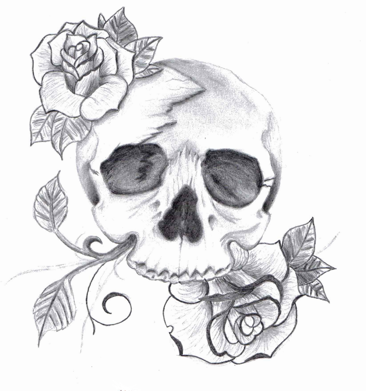 100 desenhos de caveira » skull 2