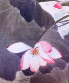 China - Artista: Zhang Daqian (1899/1983) - séc XX