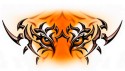 Free-tiger-tattoo-wallpaper-download-the-free-tiger-tattoo-wallpaper