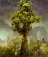 4420-forest-80d-44x38-72x62-83x71-20071