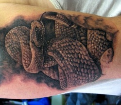 3.bp.blogspot.com*-_nflXAHX_jY*T-v9eDcHp3I*AAAAAAAAAxc*zxbRQ24tdEs*s1600*3D Snakes Tattoo on Biceps and Triceps-05 tattoosphotogallery.blogspot.com